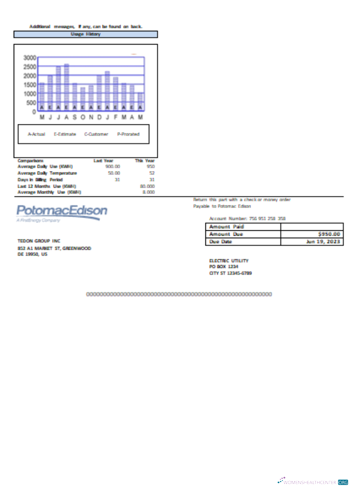 Download Potomac Edison utility business bill, page 2, SCR Photoshop template